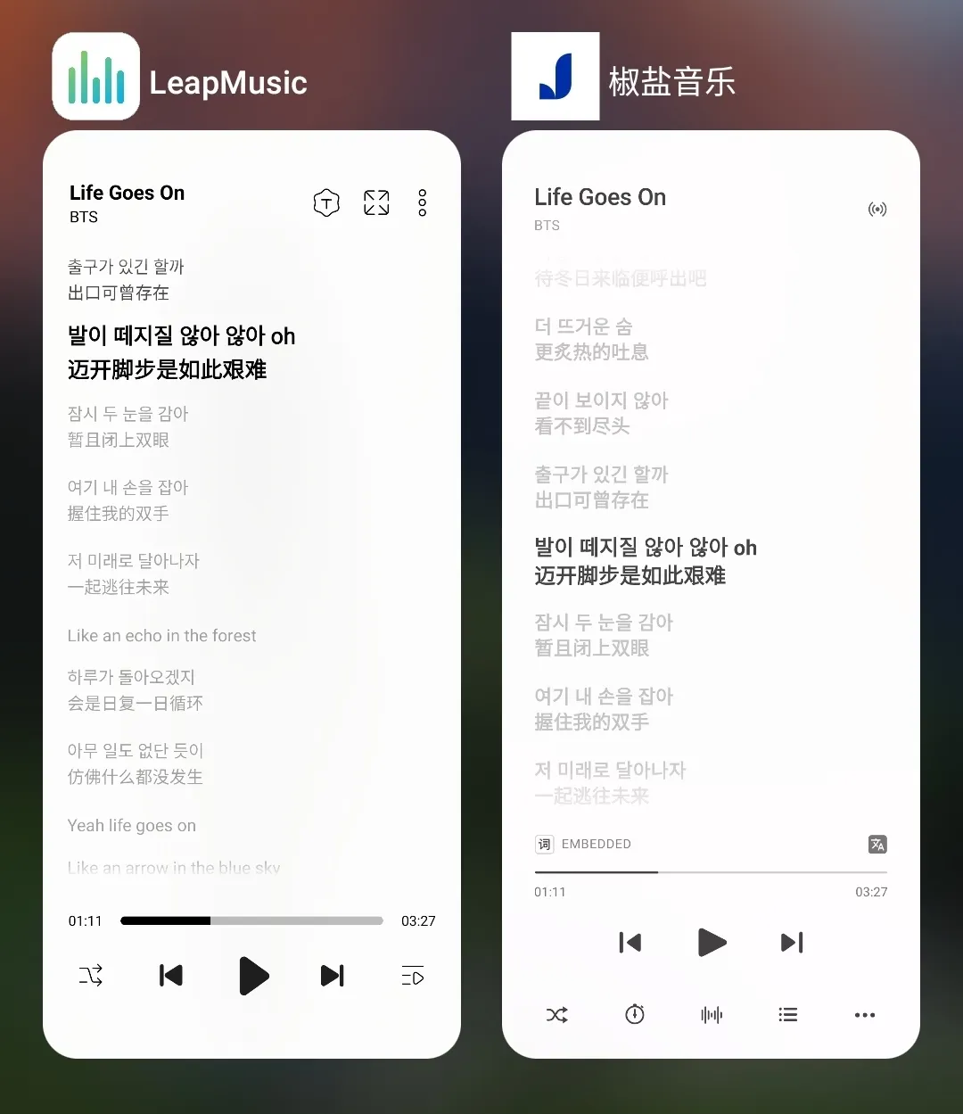 leapmusic 和椒盐音乐的播放页